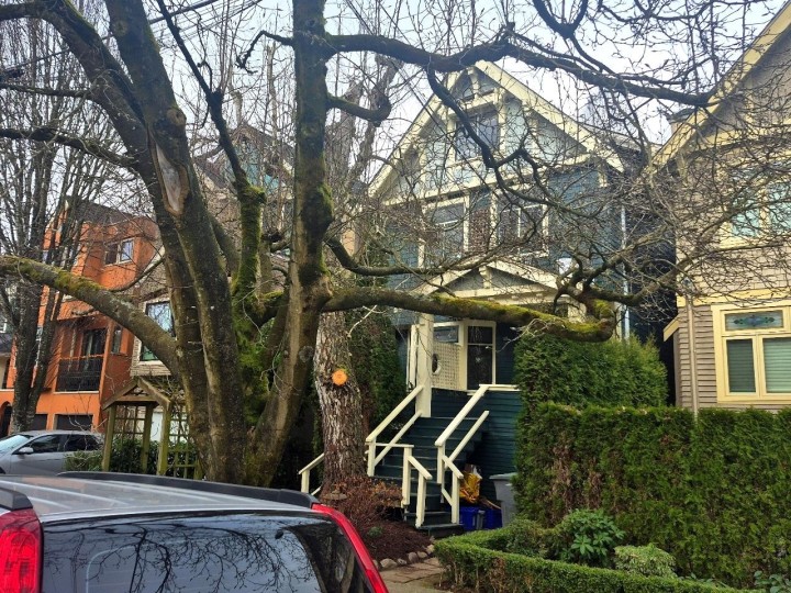 Photo 2 at 2635 W 7th Avenue, Kitsilano, Vancouver West