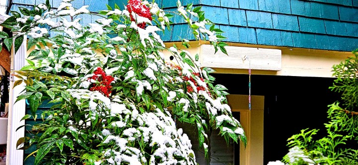 Photo 11 at 2635 W 7th Avenue, Kitsilano, Vancouver West