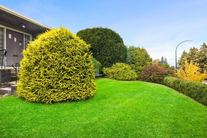 Photo 33 at 4275 Quesnel Drive, MacKenzie Heights, Vancouver West