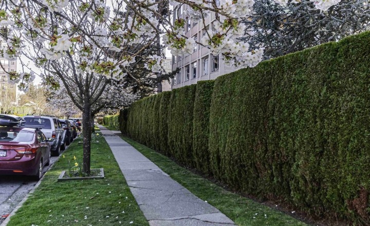 Photo 34 at PH6 - 5723 Balsam Street, Kerrisdale, Vancouver West