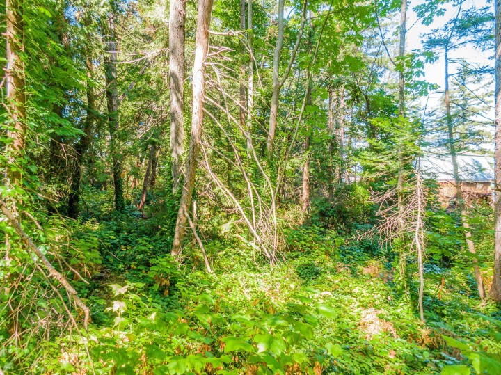 Photo 12 at 16 Passage Island, Passage Island, West Vancouver
