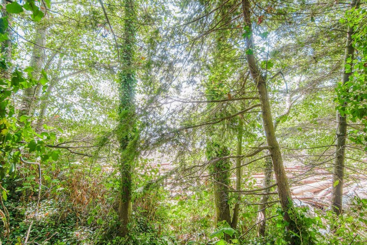 Photo 9 at 16 Passage Island, Passage Island, West Vancouver