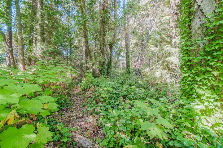 Photo 24 at 16 Passage Island, Passage Island, West Vancouver