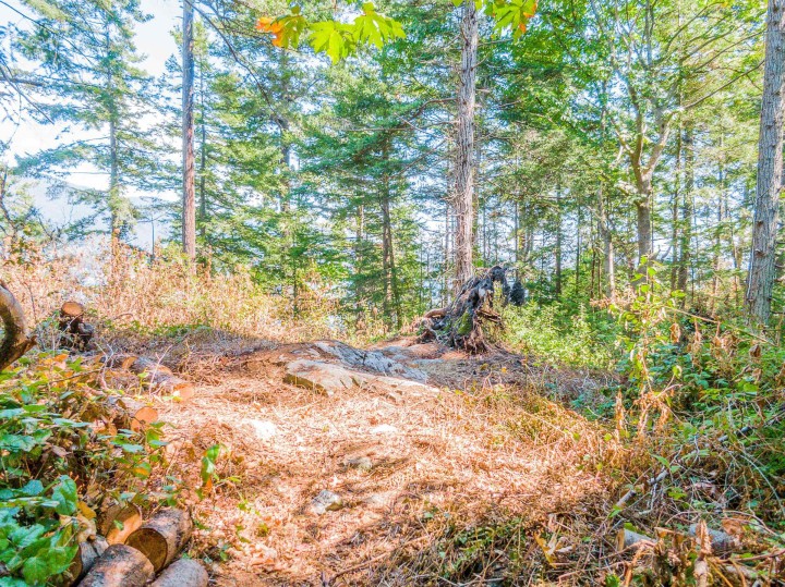 Photo 15 at 16 Passage Island, Passage Island, West Vancouver