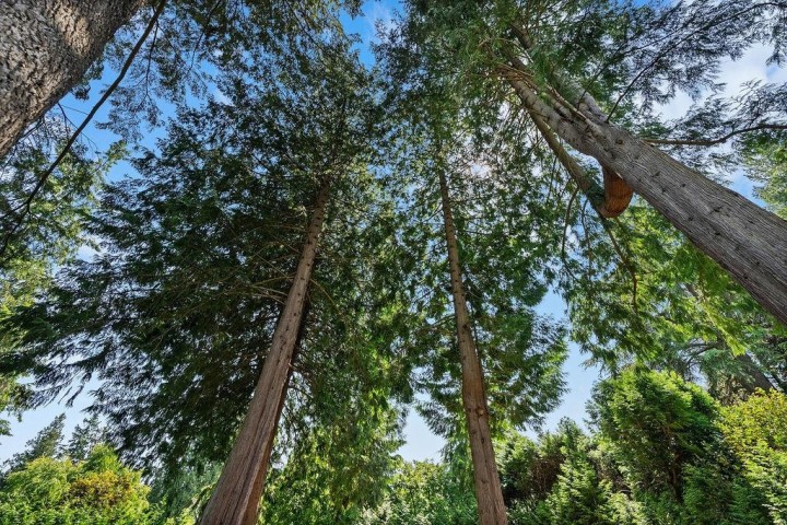 Photo 19 at 2976 Palmerston Avenue, Altamont, West Vancouver