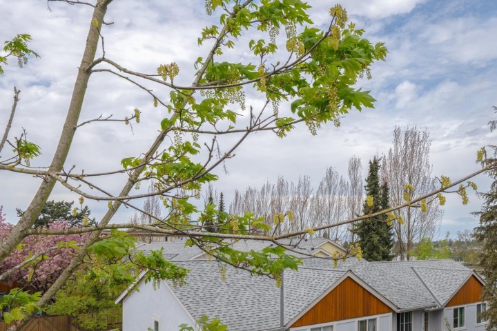 Photo 10 at D - 3439 E 43rd Avenue, Killarney VE, Vancouver East