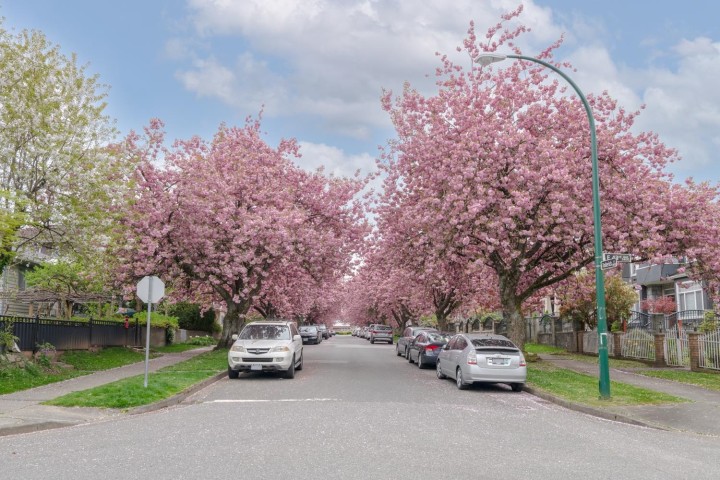 Photo 8 at D - 3439 E 43rd Avenue, Killarney VE, Vancouver East