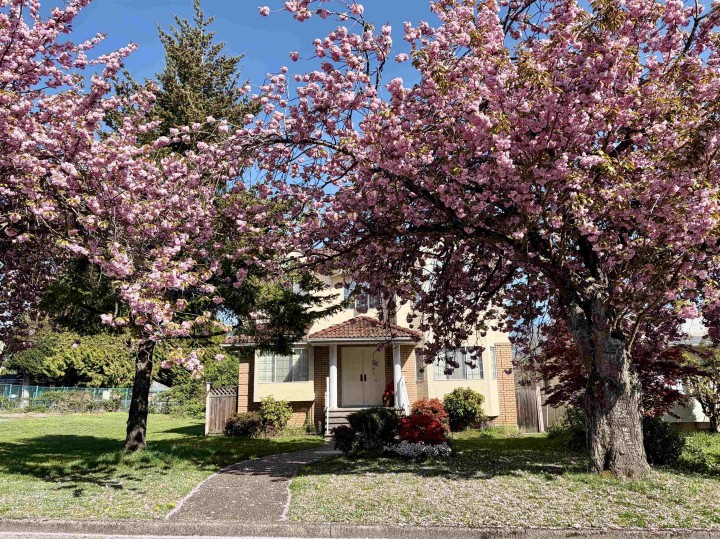 Photo 38 at 8110 Osler Street, Marpole, Vancouver West