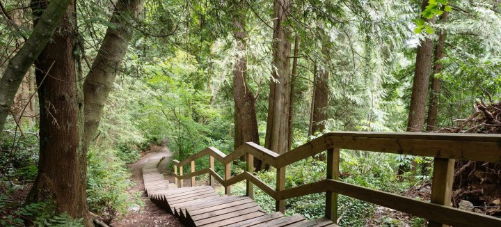 Photo 35 at 875 Porteau Place, Roche Point, North Vancouver