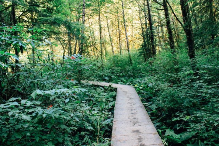 Photo 31 at 875 Porteau Place, Roche Point, North Vancouver