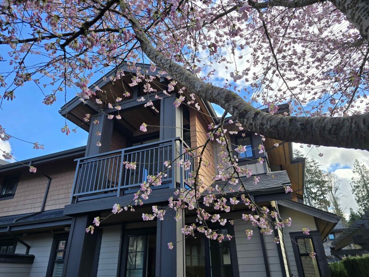 Photo 5 at 29 - 555 Raven Woods Drive, Roche Point, North Vancouver