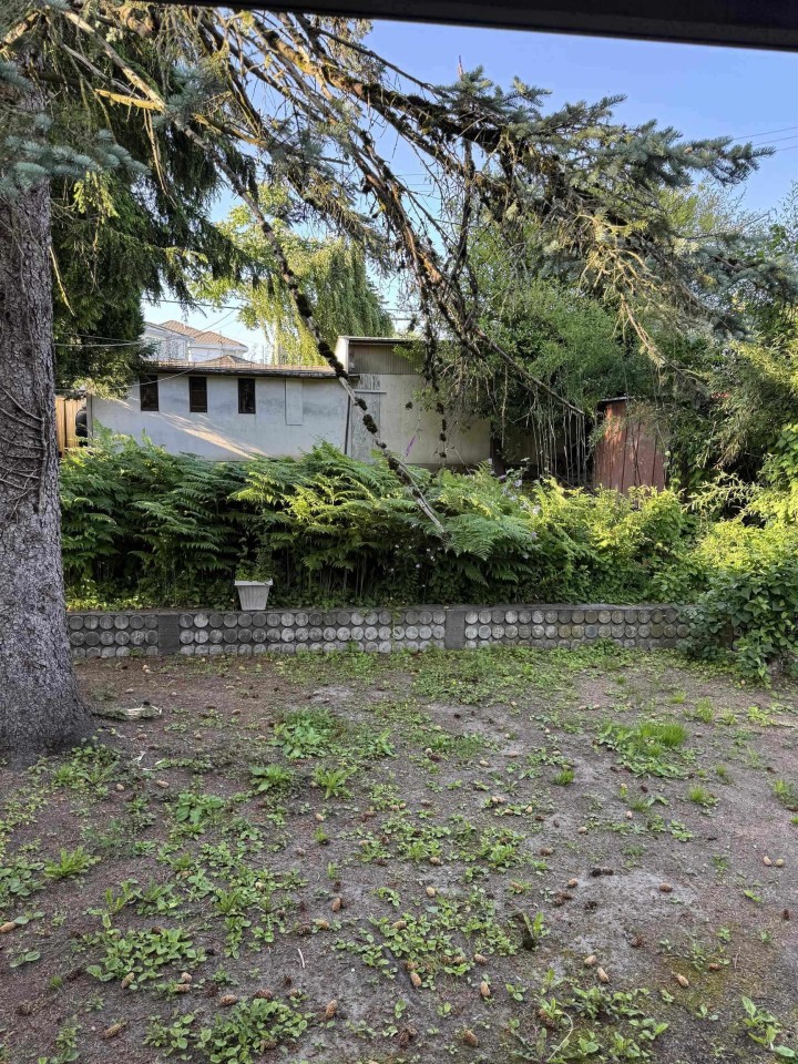 Photo 19 at 2511 Upland Drive, Fraserview VE, Vancouver East