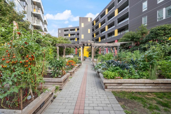 Photo 31 at 619 - 384 E 1st Avenue, Strathcona, Vancouver East