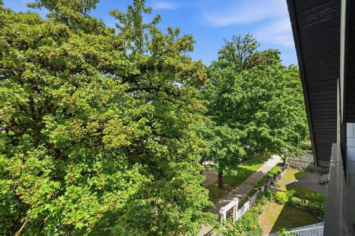 Photo 38 at 1 - 2438 E 20th Avenue, Renfrew Heights, Vancouver East