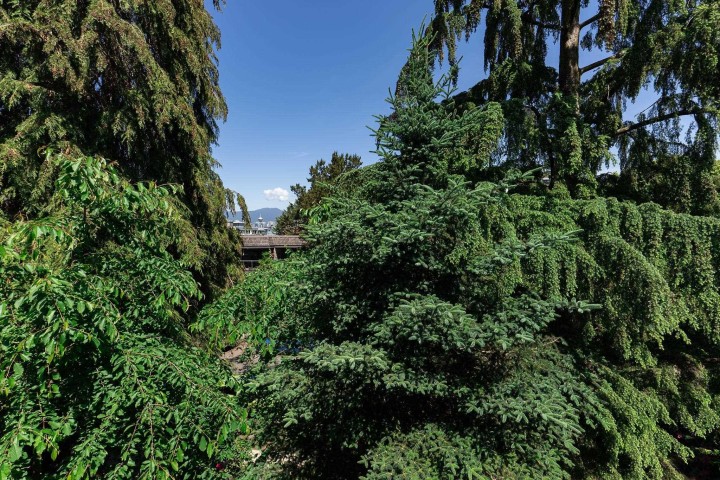 Photo 26 at 312 - 330 E 7th Avenue, Mount Pleasant VE, Vancouver East