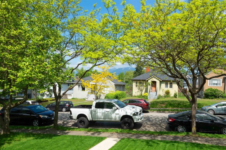 Photo 6 at 3120 Turner Street, Renfrew VE, Vancouver East