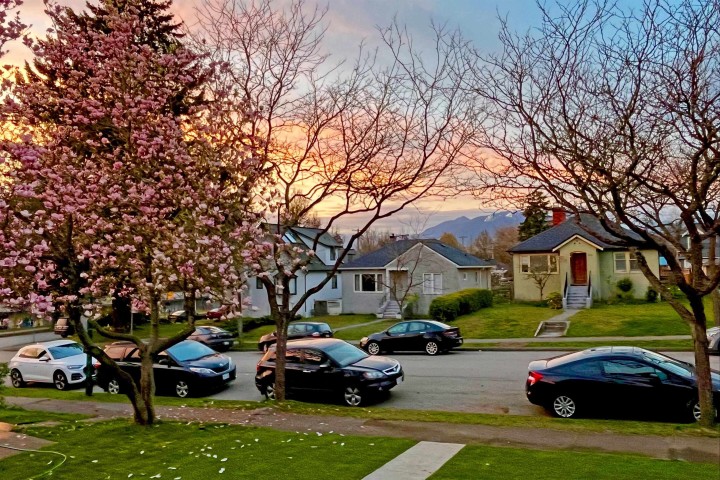 Photo 8 at 3120 Turner Street, Renfrew VE, Vancouver East