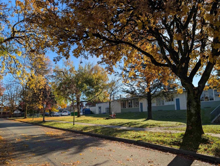 Photo 37 at 2935 E 17th Avenue, Renfrew Heights, Vancouver East