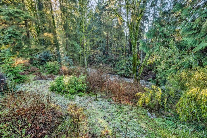 Photo 9 at 430 Macbeth Crescent, Cedardale, West Vancouver