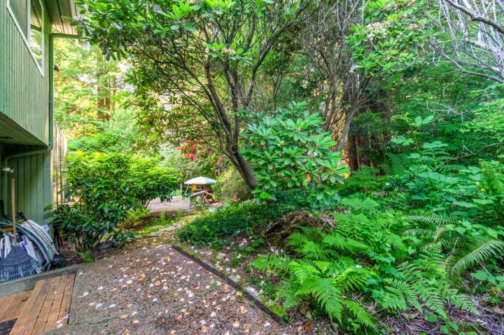 Photo 22 at 5261 Cliffridge Avenue, Canyon Heights NV, North Vancouver