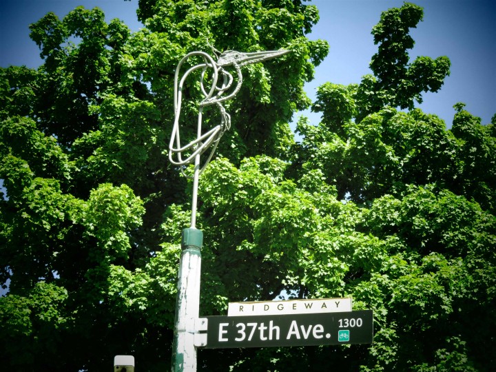Photo 28 at 5322 Culloden Street, Vancouver East