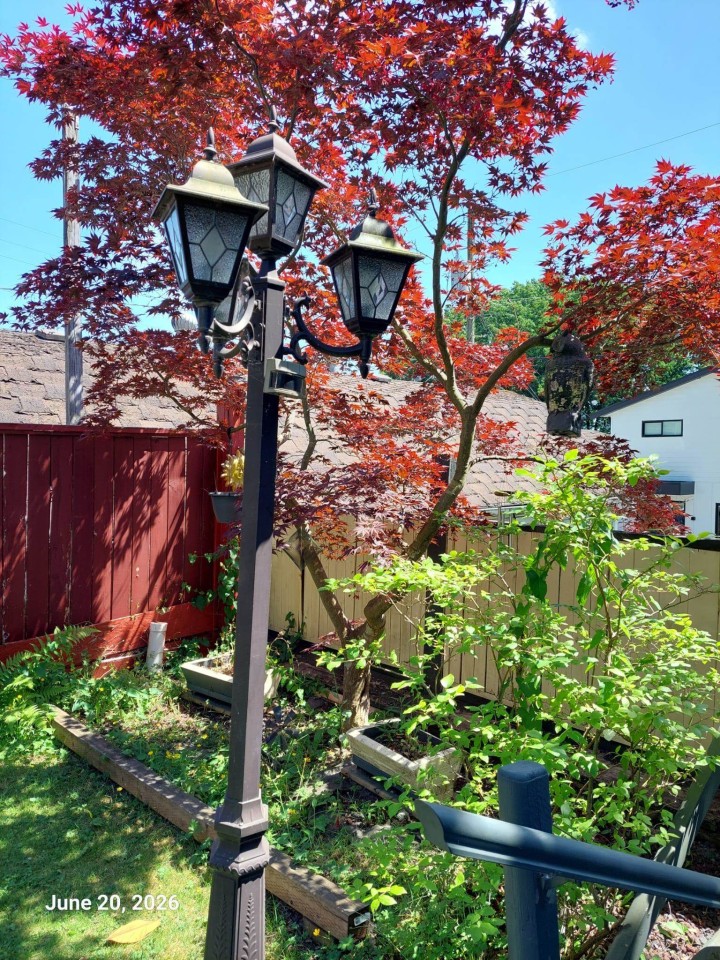 Photo 11 at 3638 E Pender Street, Renfrew VE, Vancouver East