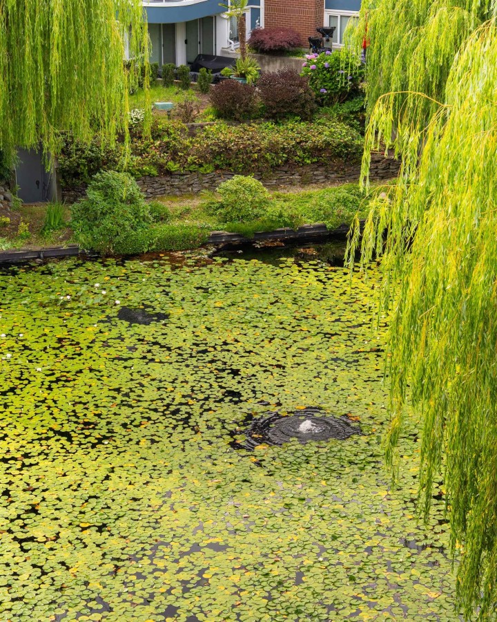 Photo 33 at 405 - 1502 Island Park Walk, False Creek, Vancouver West