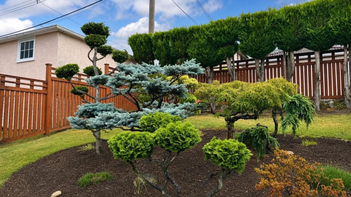 Photo 38 at 2965 E 8th Avenue, Renfrew VE, Vancouver East