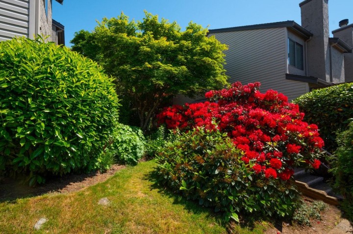 Photo 20 at 10 - 230 W 14th Street, Central Lonsdale, North Vancouver
