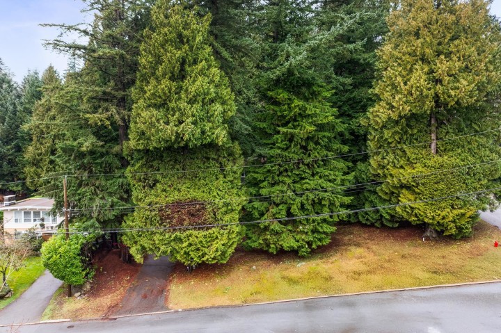 Photo 9 at LOT 2 - 3091 Royal Avenue, Princess Park, North Vancouver
