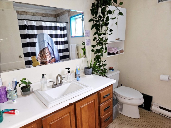 Photo 28 at 1244 E 8th Avenue, Mount Pleasant VE, Vancouver East