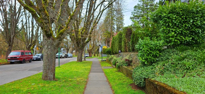Photo 31 at 5284 East Boulevard, Quilchena, Vancouver West