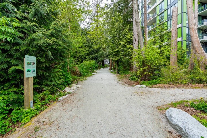 Photo 38 at 322 - 3563 Ross Drive, University VW, Vancouver West