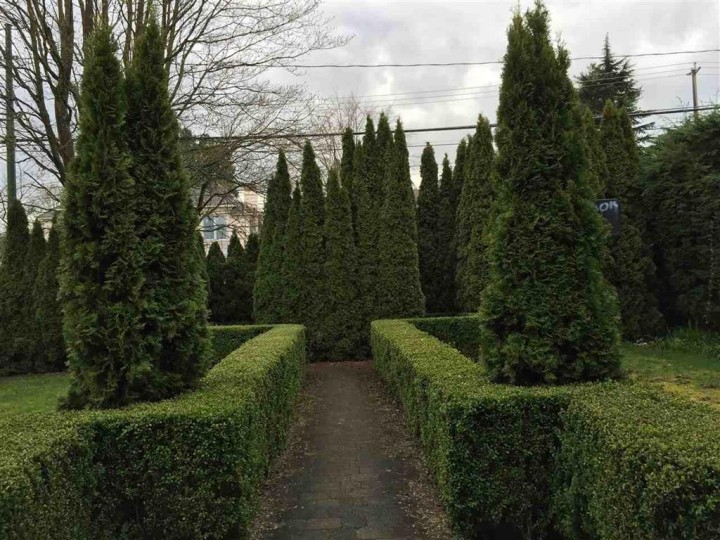 Photo 3 at 4633 W 4th Avenue, Point Grey, Vancouver West