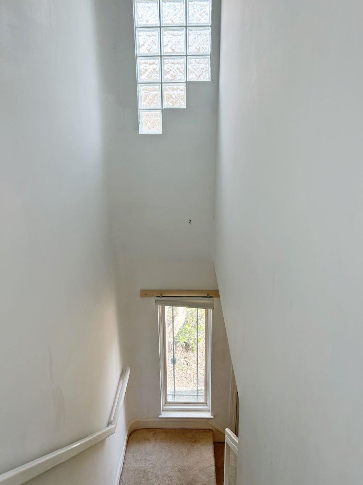 Photo 20 at 8377 Hudson Street, Marpole, Vancouver West