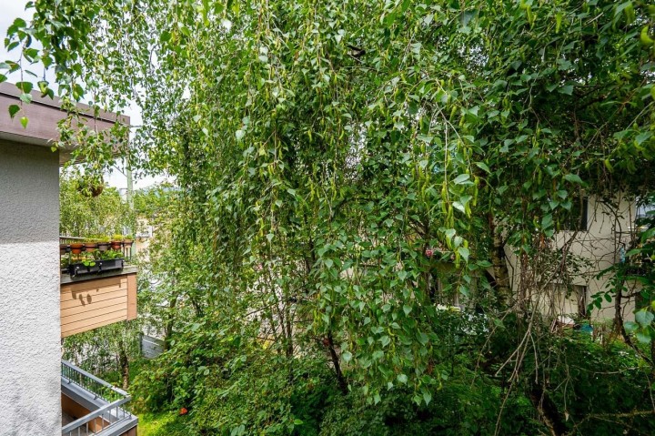 Photo 27 at 302 - 138 Templeton Drive, Hastings, Vancouver East