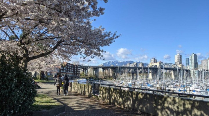 Photo 3 at 129 Regiment Square, Downtown VW, Vancouver West