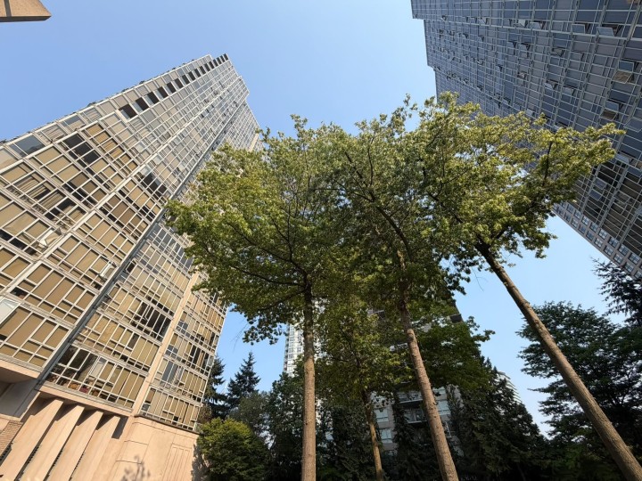 Photo 23 at 1003 - 930 Cambie Street, Yaletown, Vancouver West