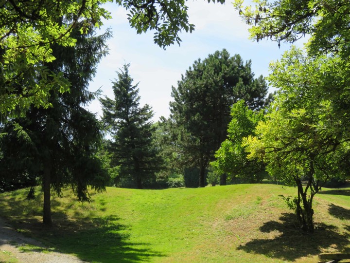 Photo 35 at 3148 E 1st Avenue, Renfrew VE, Vancouver East