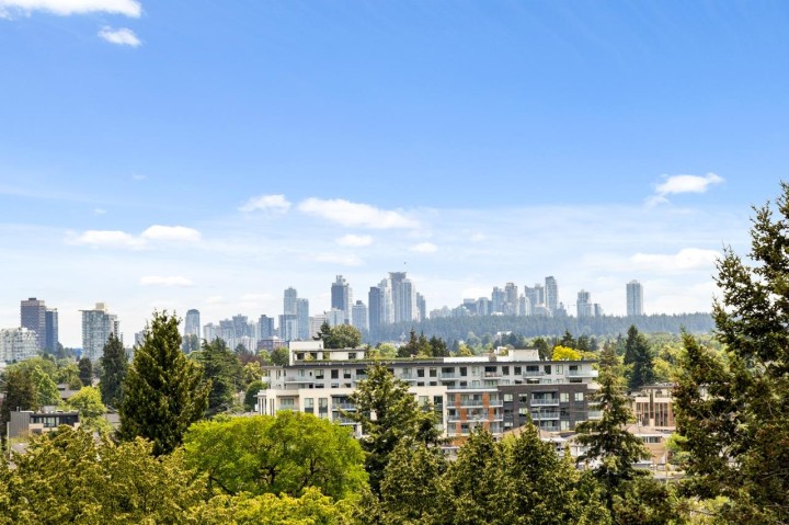 Photo 38 at B - 4260 Sophia Street, Main, Vancouver East