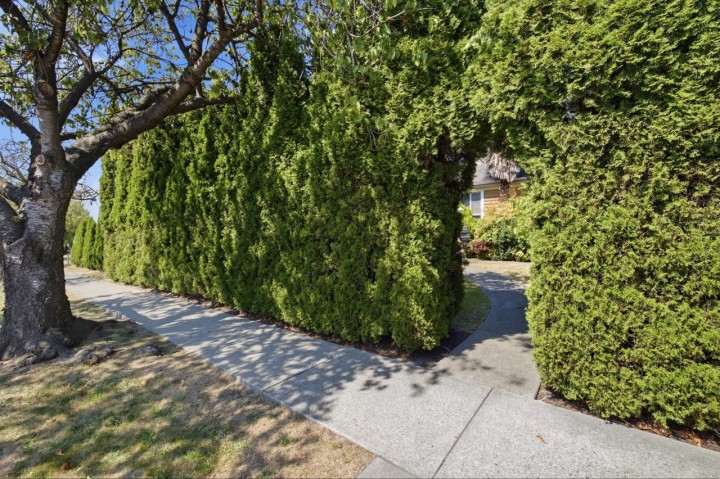 Photo 37 at 55 W King Edward Avenue, Cambie, Vancouver West