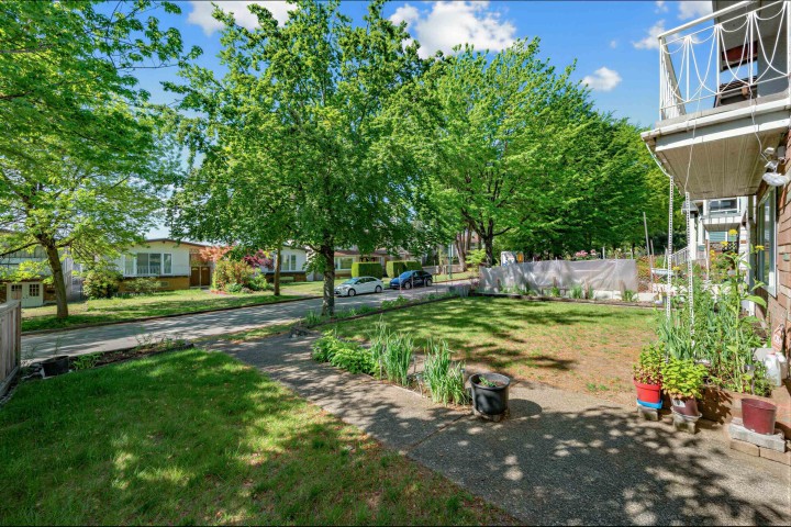 Photo 28 at 245 W 63rd Avenue, Marpole, Vancouver West
