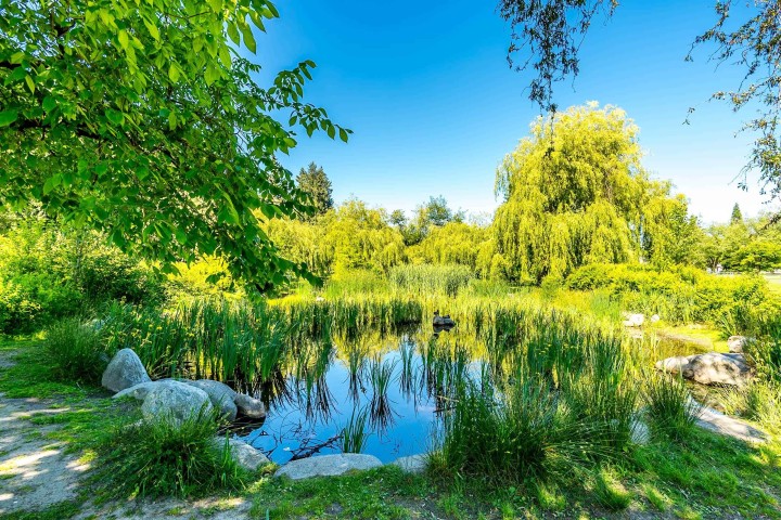 Photo 39 at 6074 Sherbrooke Street, Knight, Vancouver East