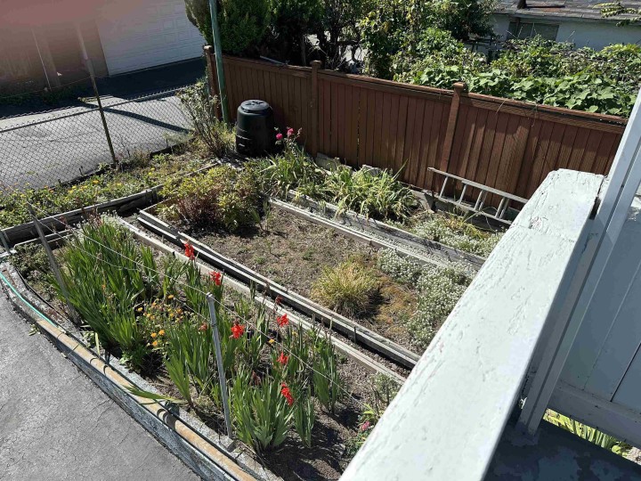 Photo 28 at 3126 E 20th Avenue, Renfrew Heights, Vancouver East
