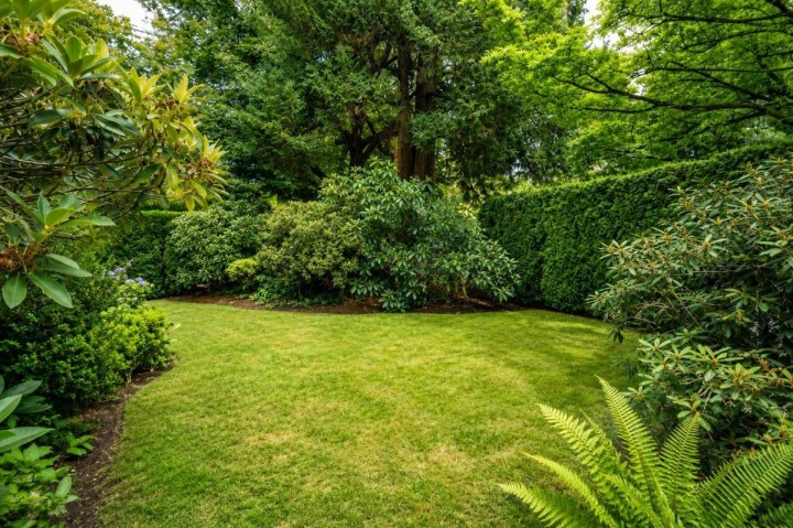 Photo 8 at 1903 W 14th Avenue, Kitsilano, Vancouver West