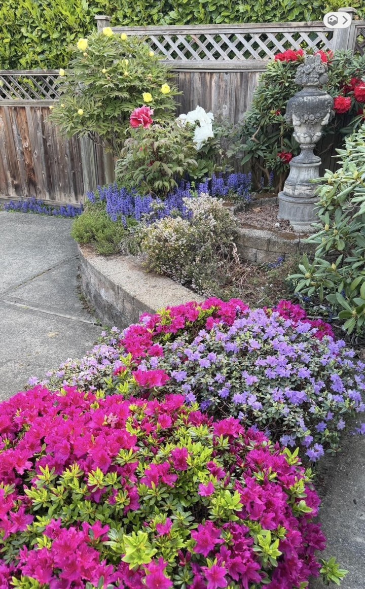 Photo 36 at 3262 W 12th Avenue, Kitsilano, Vancouver West