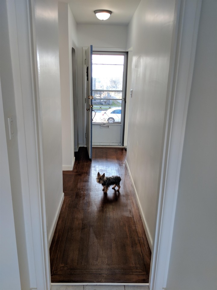Photo 14 at 6598 Doman Street, Killarney VE, Vancouver East