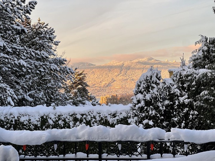 Photo 24 at 1575 Angus Drive, Shaughnessy, Vancouver West