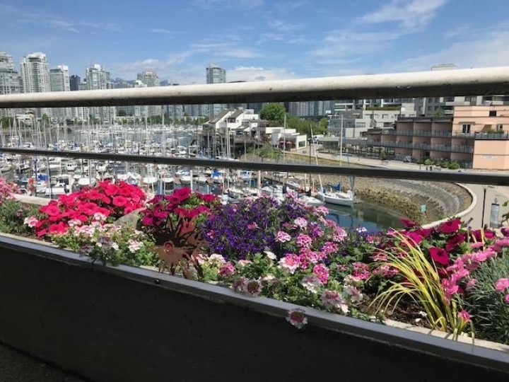 Photo 3 at 313 - 674 Leg In Boot Square, False Creek, Vancouver West