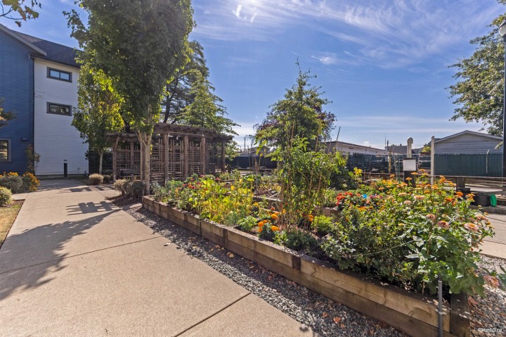 Photo 37 at 5835 Wales Street, Killarney VE, Vancouver East